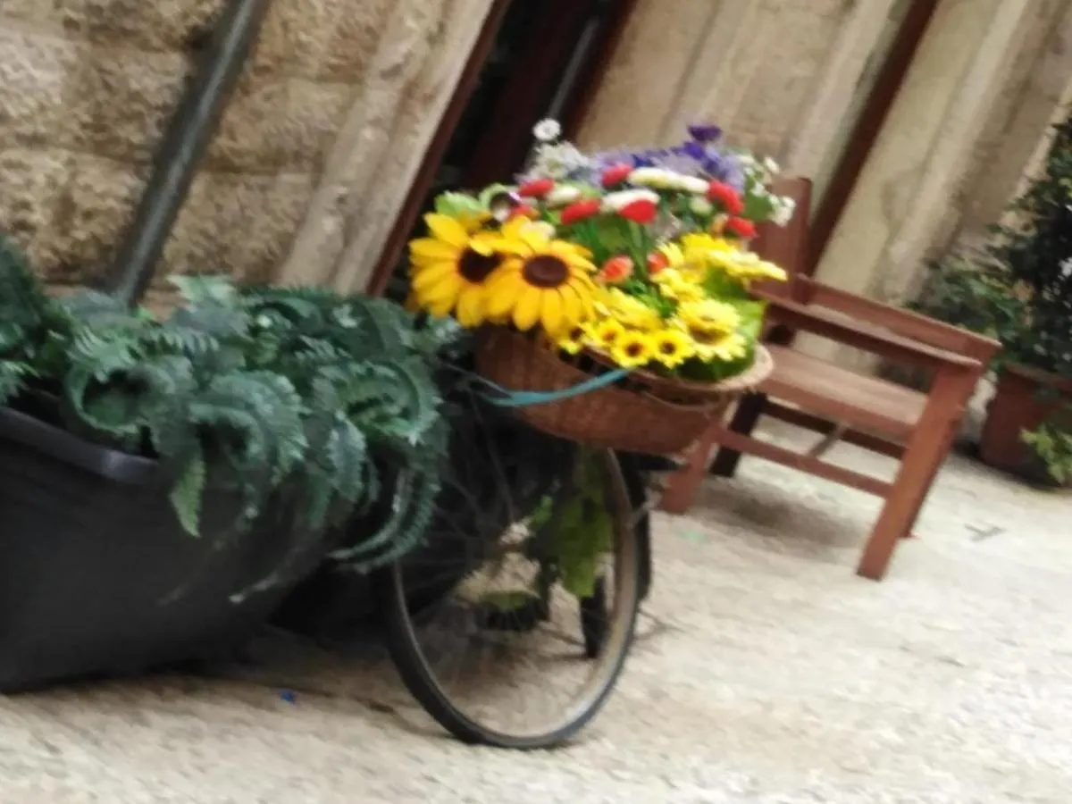 Sant'Onofrio apartment Bari Italia
